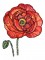 BFC0997 Poppies with Oriental Influence