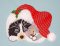 BFC32001 Christmas Nap Time