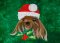 BFC32002 Santa Junior Puppy