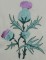 BFC0153 Summer Garden
