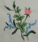 BFC0153 Summer Garden