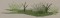 BFC0153 Summer Garden