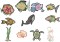 BFC1581 Applique or Not Fishy Friends