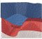 BFC1920 Large Eagle with American Flag IV