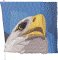 BFC1920 Large Eagle with American Flag IV