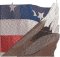 BFC1920 Large Eagle with American Flag IV