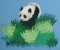 BFC0194 Pandas of the Orient