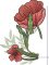 BFC1976 A Touch of William Morris - Poppies