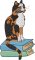 BFC2034 Delight's Cat and the Scribe