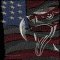 BFC2076 Large Patriotic Eagle on Black