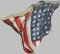 BFC2078 Large Patriotic Eagle No.2