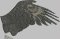 BFC2078 Large Patriotic Eagle No.2