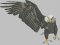 BFC2078 Large Patriotic Eagle No.2
