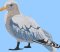BFC2162 The Seagulls - Part 5 Elements