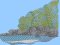 BFC2162 The Seagulls - Part 5 Elements
