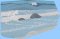 BFC2162 The Seagulls - Part 5 Elements