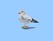 BFC2162 The Seagulls - Part 5 Elements