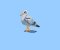 BFC2162 The Seagulls - Part 5 Elements