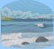 BFC2162 The Seagulls - Part 5 Elements