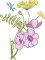 BFC2222 Graceful Florals Library