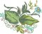 BFC31633 Pretty Foliage