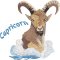 BFC31823 Capricorn