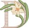 BFC31837 Spring Flowers Alphabet D