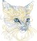 BFC31860  Intense Feline Stare