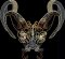 BFC31890 The Feline Zodiac - Aries