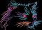 BFC32011 Pyschedelic Cat