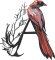 BFC32270 Red Bird Alpha A