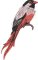 BFC32270 Red Bird Five