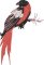 BFC32270 Red Bird Six
