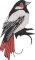 BFC32270 Red Bird  Seven