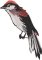 BFC32270 Red Bird Eight