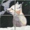 BFC0532 All Babies of the Wild