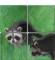 BFC0532 All Babies of the Wild
