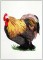Rooster
