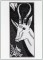 SA Architectural Etchings -Impala