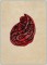 Small Paisley