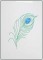 Peacock Feather