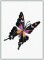 Black & Orange Butterfly
