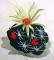 BFC0143 Flowering Cactus