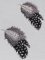 CCQM002 - Guinea Fowl Feathers