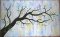 CCQ0528 - QI The Cherri Tree Branch Quilt
