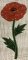 CCQ5121- READ Flowers Set 1