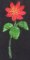 CCQ5121- READ Flowers Set 1