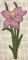 CCQ5123 - READ Flowers Set 3