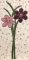 CCQ5123 - READ Flowers Set 3