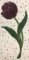 CCQ5123 - READ Flowers Set 3